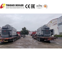 Ketel Uap Biomassa 12 Ton Berbahan Bakar Batubara Efisiensi Tinggi dengan Rangka Rantai Otomatis, Generator Uap Industri untuk Penggunaan Industri
