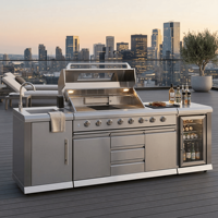 Cuisine extérieure multifonctionnelle en acier inoxydable SS304, résistante à l'humidité, texture métallique, pour l'extérieur