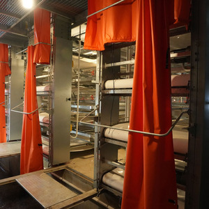 Tự động Gà Thịt gà Lồng phân scraper thiết bị tự động - Product Image 3