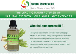 Olio Essenziale di Citronella Distillato a Vapore, Puro, Profumo di Agrumi, Non Irritante, Non Diluito, per Tutti i Tipi di Pelle - Product Image 6