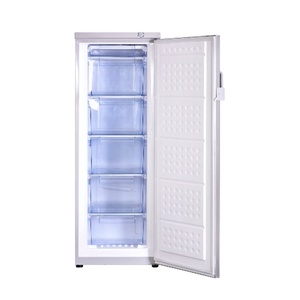 Congelador Vertical Eléctrico de 310L con Cajones Grandes y Puerta Sólida Individual para Uso Doméstico - Product Image 1