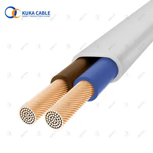 Cable de alambre eléctrico con chaqueta de PVC de 2 núcleos, cable aislado de calefacción, alambre de cobre sin oxígeno de Shanghai Power RVV 2*1.0mm2 2kv