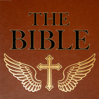 Servicio de Impresión de Libros Directo de Fábrica, Biblia de Tapa Dura de Alta Calidad, Biblia Sagrada Personalizada en Colores Mixtos, Niv