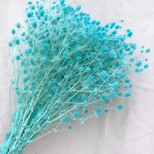 <span class=keywords><strong>Flor</strong></span> Seca Decorativa al por Mayor, <span class=keywords><strong>Flor</strong></span> de Ajenjo Marino Ensilada para Arreglos Florales y Decoraciones de Boda - Product Image 2