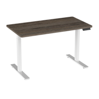 Hauteur réglable bureau colonne de levage électrique exécutif grand bureau moderne bureau debout double moteur