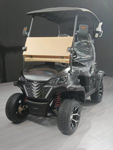 WELIFTRICH 3-4 Seat 60V Lithium Battery Fully Waterproof Steel <b>Frame</b> Off-Road Electric Golf Cart Outdoor Golf <b>Play</b> 30-50Km/h CE - Product Image 3