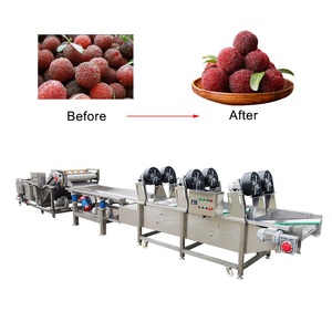 <span class=keywords><strong>Machine</strong></span> de lavage et de drainage <span class=keywords><strong>à</strong></span> bulles et <span class=keywords><strong>à</strong></span> vibrations industrielle haute pression pour laitue, fraises, céleri et poivrons - Product Image 1