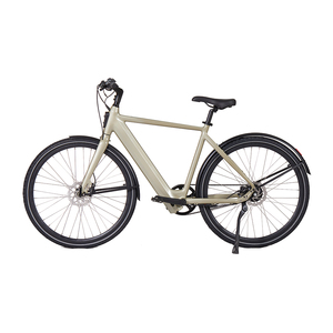Bicicletas Eléctricas de Una Velocidad con Cuadro de Aleación de Aluminio de Alto Rendimiento, Batería de Litio, Motor en el Buje Trasero de 750W y 60km de Autonomía, Directo de Fábrica - Product Image 2