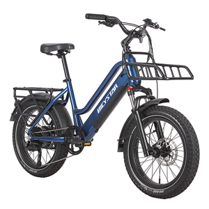 Bicicleta de Montaña Eléctrica Usada China con Motor RSD-EB-S20 / Bicicleta con Motor / Bicicletas Motorizadas Eléctricas / Mejores Bicicletas Eléctricas - Product Image 5
