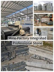 High Quality Modern Polished Cam Gray <strong>Granite</strong> Big Slab for Kitchen and Bathroom Countertops - Product Image 5