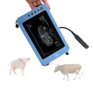Doppler couleur portable ZHUYUE T6 pro 3D 4D Mini prix de la machine à ultrasons vétérinaire