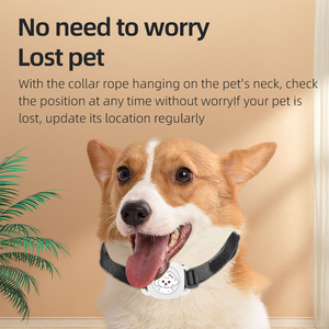 Localizador GPS Certificado para Mascotas, Ligero (10.8g), con Collar, Solo para iOS - Product Image 6