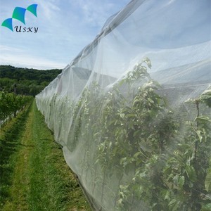 Flowers Protect 40 malla de plástico blanco Anti <span class=keywords><strong>áfido</strong></span>s Mosca blanca Red de insectos - Product Image 4