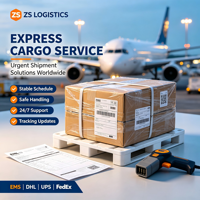 ZS LOGISTICS Chine États-Unis/Philippines/Thaïlande/Malaisie/Singapour Ligne Express Spéciale DHL/UPS/FedEx DDP Porte à Porte Chine