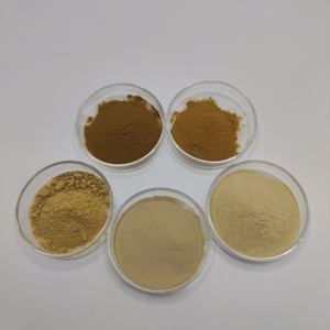ผงสารสกัดจากกะเพราศักดิ์สิทธิ์เกรดอาหารละลายน้ำได้20:1 10:1 - Product Image 2