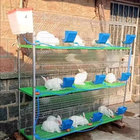 Nouvelle cage à lapins multifonctionnelle de type H avec construction en acier et en plastique