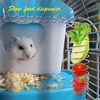 Mangeoire suspendue en acier inoxydable pour fruits et légumes, support de nourriture à fixer sur cage pour perroquets, hamsters et autres petits animaux