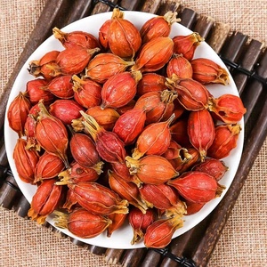 Proveedor mayorista Zhi Zi especias y hierbas secas Fructus Gardeniae nuevos cultivos semillas Rojas secas <span class=keywords><strong>de</strong></span> Fructus Gardeniae - Product Image 4