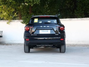 GWM Haval Big Dog PLUS, SUV équipés d'une technologie de réduction du bruit de haut niveau, véhicules essence - Product Image 6