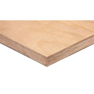 Contreplaqué de bouleau de Russie de première qualité certifié E0, filmé, pour plaque de <span class=keywords><strong>support</strong></span>, armoire, <span class=keywords><strong>bricolage</strong></span> et jouets - Product Image 1