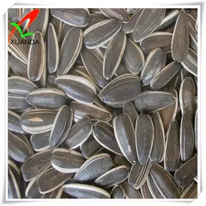 Factory Wholesale black big size edible roasted sunflower seeds