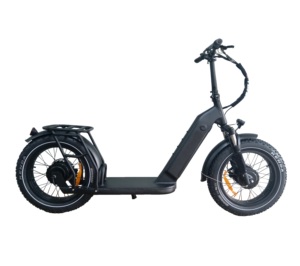 Queene/double moteur 48v, 700W, 1000W, Scooter électrique pour adulte, vitesse rapide, gros pneus, vélo électrique - Product Image 1