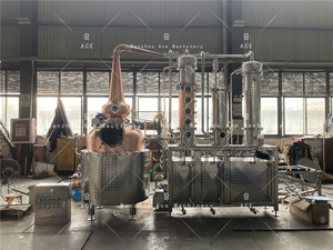 Unité de distillation hybride en cuivre Ace 250L, alambic avec colonne et panier à gin pour la production d'alcools artisanaux - Product Image 6