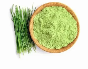 Extracto Herbal de Pasto de Trigo Silvestre Natural en Polvo, Suministro a Granel, Salud de la Piel, Soporte Antioxidante, Suplemento para el Bienestar - Product Image 4