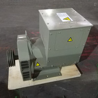Alternateur triphasé sans balais 50/60Hz AVR à sortie de tension stable pour utilisation mondiale