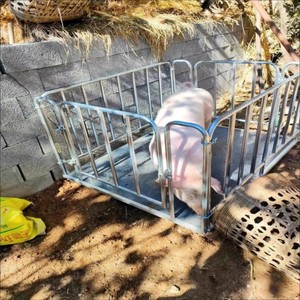 1.5*1.5-3t Thép điện tử Heavy Duty kỹ thuật số LCD hiển thị OEM tầng có trọng lượng quy mô - Product Image 5