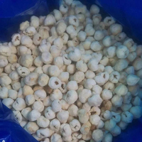 Lichi Liofilizado Saludable FD, Lichi FD al por Mayor, Snacks Liofilizados para Niños