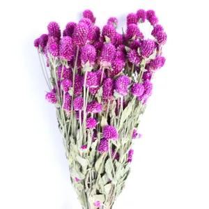 Vente en gros d'usine de fleurs séchées d'amarante rose et blanche, bouquet de fleurs séchées pour la décoration de la maison, bouquet de fleurs séchées DIY - Product Image 2