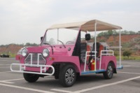 Vente en gros de batterie au lithium-fer phosphate Street Legal Tour Shuttle Bus Mini voiture électrique de tourisme