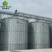 Système complet de stockage de céréales en silo en acier à fond plat clé en main pour ligne de traitement agricole à grande échelle