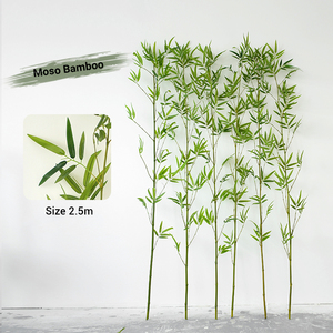 Vente chaude en plein air maison paysage décor en plastique <span class=keywords><strong>artificiel</strong></span> <span class=keywords><strong>bambou</strong></span> arbre plante de haute qualité pour une utilisation intérieure et extérieure - Product Image 4