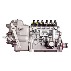 Chuyên Nghiệp Weifu Nhà Máy Động Cơ Diesel Phụ Tùng Cho Xe Tải Xichai Wp12 Động Cơ Diesel Bơm Tiêm Bp2064 612630080234