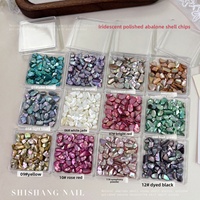Paillettes de coquille d'ormeau naturel colorées Paso Sico, brillantes et polies, pour nail art, irrégulières, irisées, style minimaliste, DIY