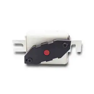 Fabrik-Sicherung Elektrisch-Strom-Wechselrichter Auto-Sicherung 170E8346 Keramik-Sicherung