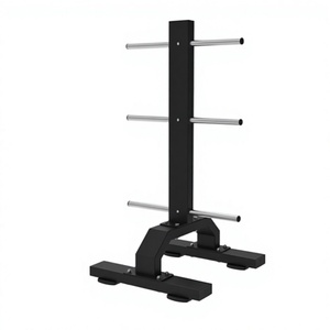 Support vertical pour plaques de musculation, organiseur de rangement pour plaques de poids, pour l'aménagement de salle de sport - Product Image 1