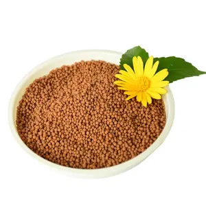 High Content100% Water Soluble Brown Granule Fertilizer Manufacturer From China