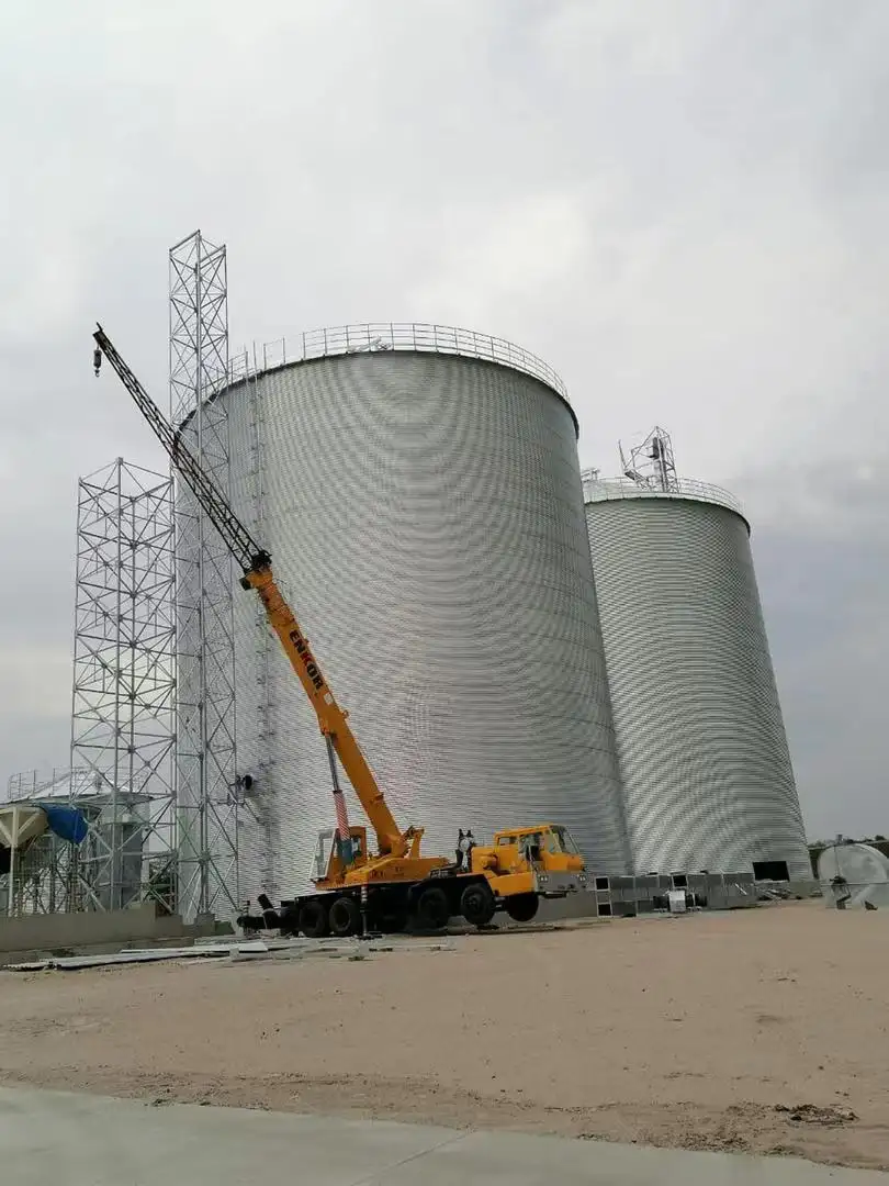 500-10000 ton assembly galvanized steel silo Corn Wheat Paddy Rice Silo Prices Steel Silo Turnkey Project