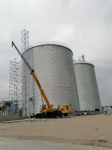 500-10000 ton montaj galvanizli çelik silo mısır buğday çeltik pirinç silosu fiyatları çelik Silo anahtar teslimi proje