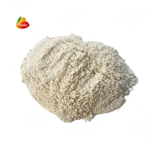 Chinese Supplier Wholesale White Organic Garlic Powder Dehydrated Bulk