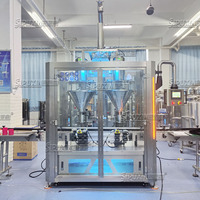 Sipuxin Machine de remplissage de poudre entièrement automatique à 2 buses, équipement d'emballage de servomoteur pour granulés de lait en poudre chimique alimentaire