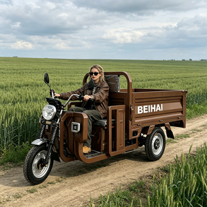 Ready to Ship 3 Wheel for <b>Passengers</b> Pickup tricycle with cabin <b>passenger</b> - Product Image 4