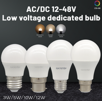Lampe à LED G45 AC/DC12V-48V 3W/5W avec types de base B22/E27/E14 pour la décoration de la maison et du bureau Corps en plastique Alimentation électrique