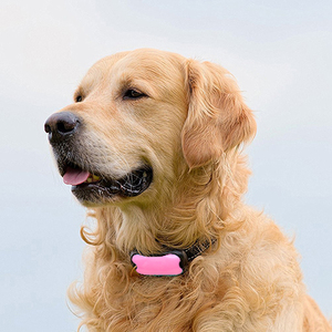 Top new human 7 sensitivity pet small Dog Vibration no shock pink necklace <span class=keywords><strong>Anti</strong></span>-bking - Product Image 5