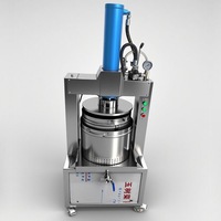Hydraulische roestvrijstalen druivenpersmachine voor het maken van vruchtensap