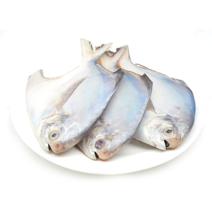 Argent Pomfret Pampus Argenteus Poisson Chine Blanc Pomfret Poisson Prix - Product Image 3