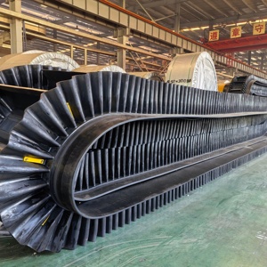 Băng tải cao su công suất 50 kg - Product Image 5